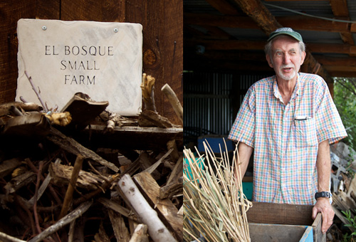 El Bosque Garlic Photograph by Gabriella Marks