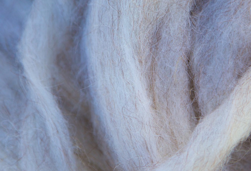 Natural Wool by Gabriella Marks photography